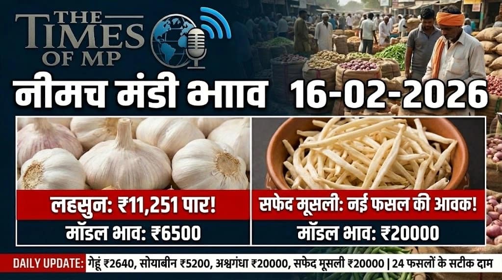 Neemuch Mandi Bhav 16 February 2026