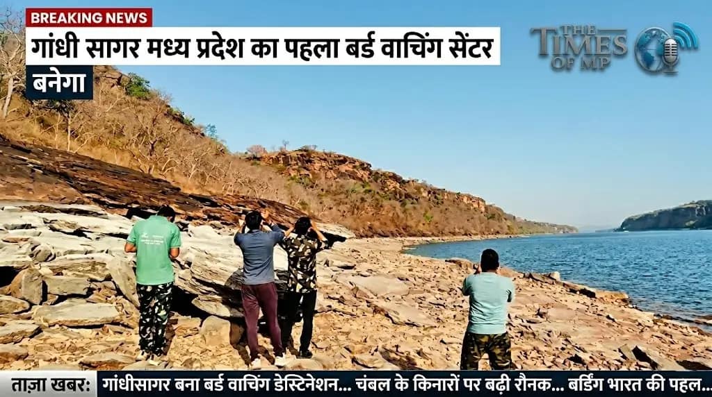 गांधीसागर बर्ड वॉचिंग