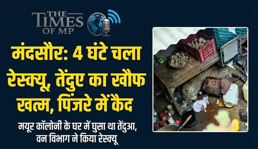 Mandsaur Leopard Rescue