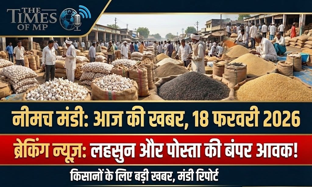 Neemuch Mandi Bhav 18 february 2026