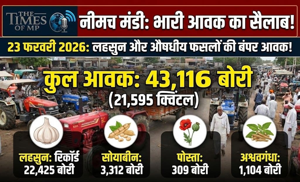 Neemuch Mandi Bhav 23 february 2026