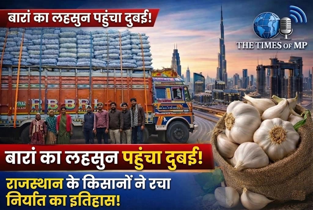 Garlic Export from Rajasthan