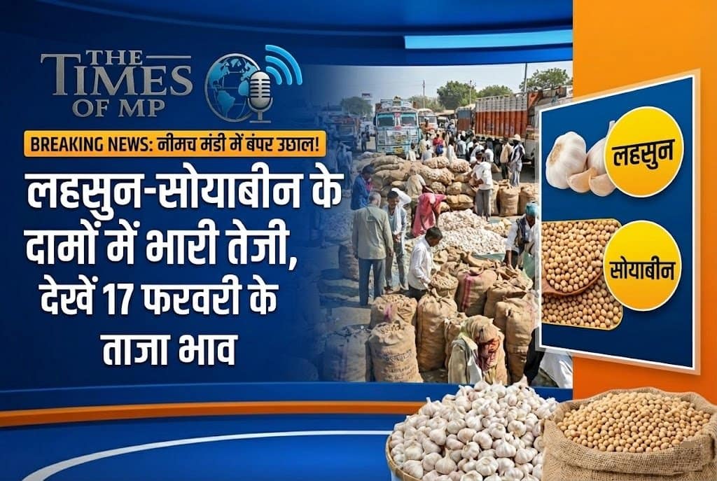 Neemuch Mandi Bhav 17 February 2026