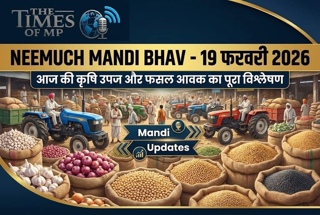 Neemuch Mandi Bhav 19 february 2026