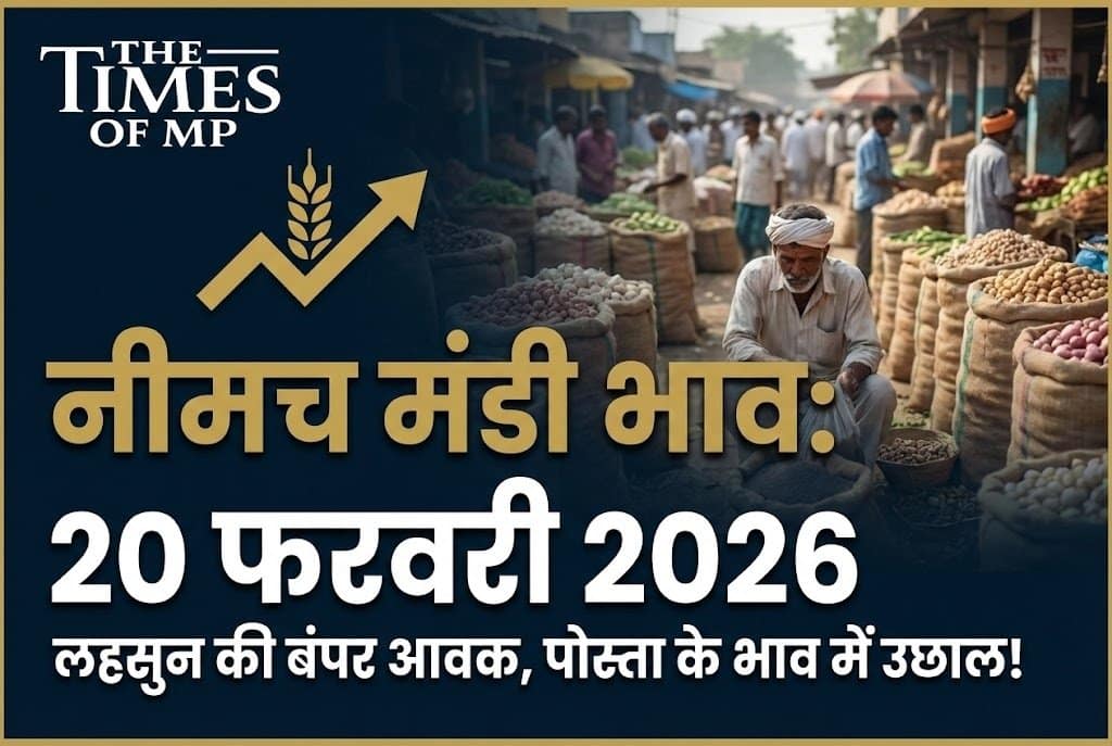 Neemuch Mandi Bhav 20 February 2026