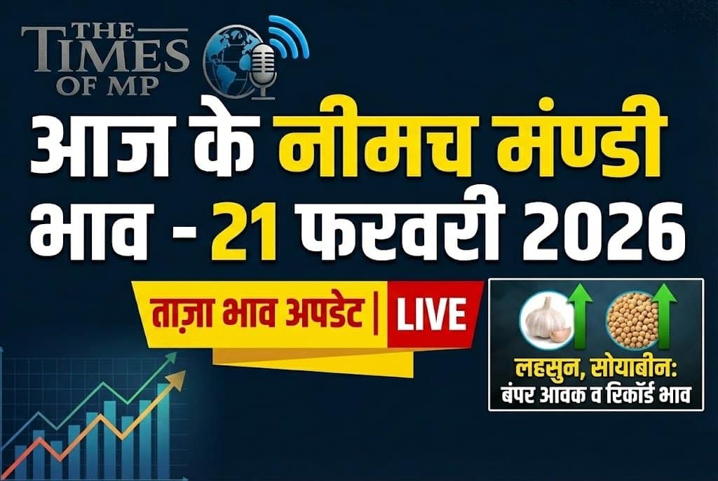Neemuch Mandi Bhav 21 February 2026