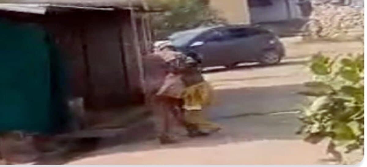 c83e54e3 2a0c 4ff5 a696 594629e99f66 scaled