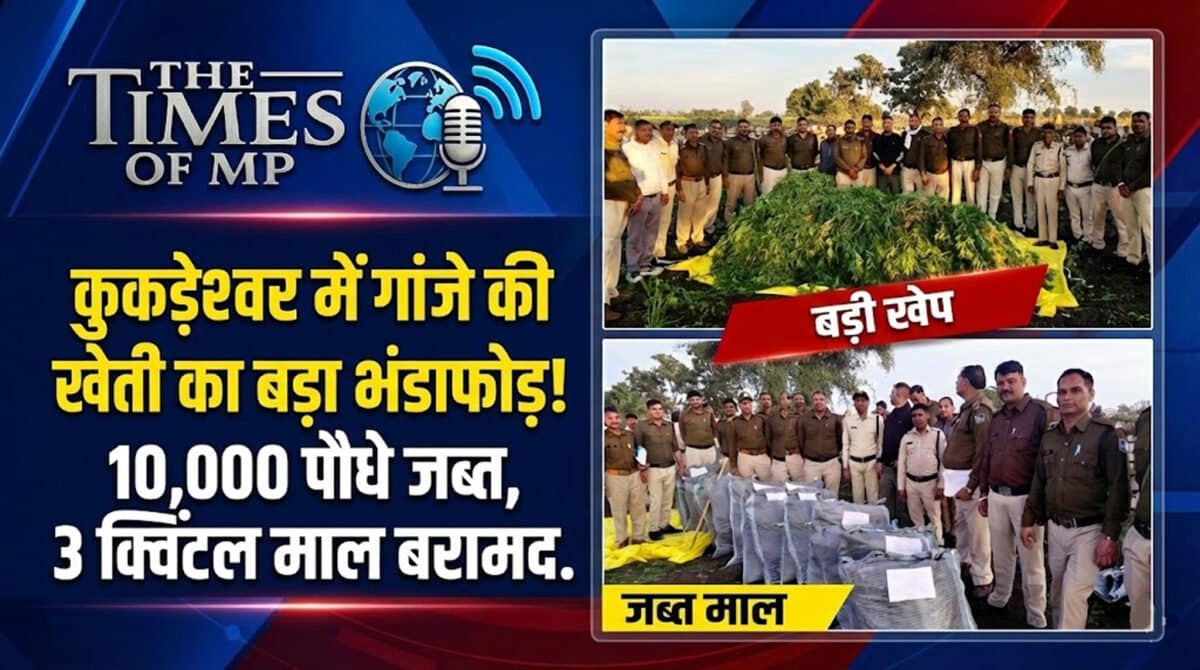 Ganja farming in Kukdeshwar