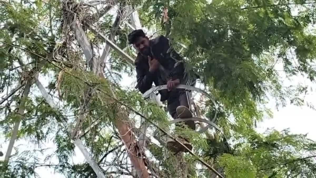 चित्तौड़गढ़ में टॉवर पर चढ़ा युवक