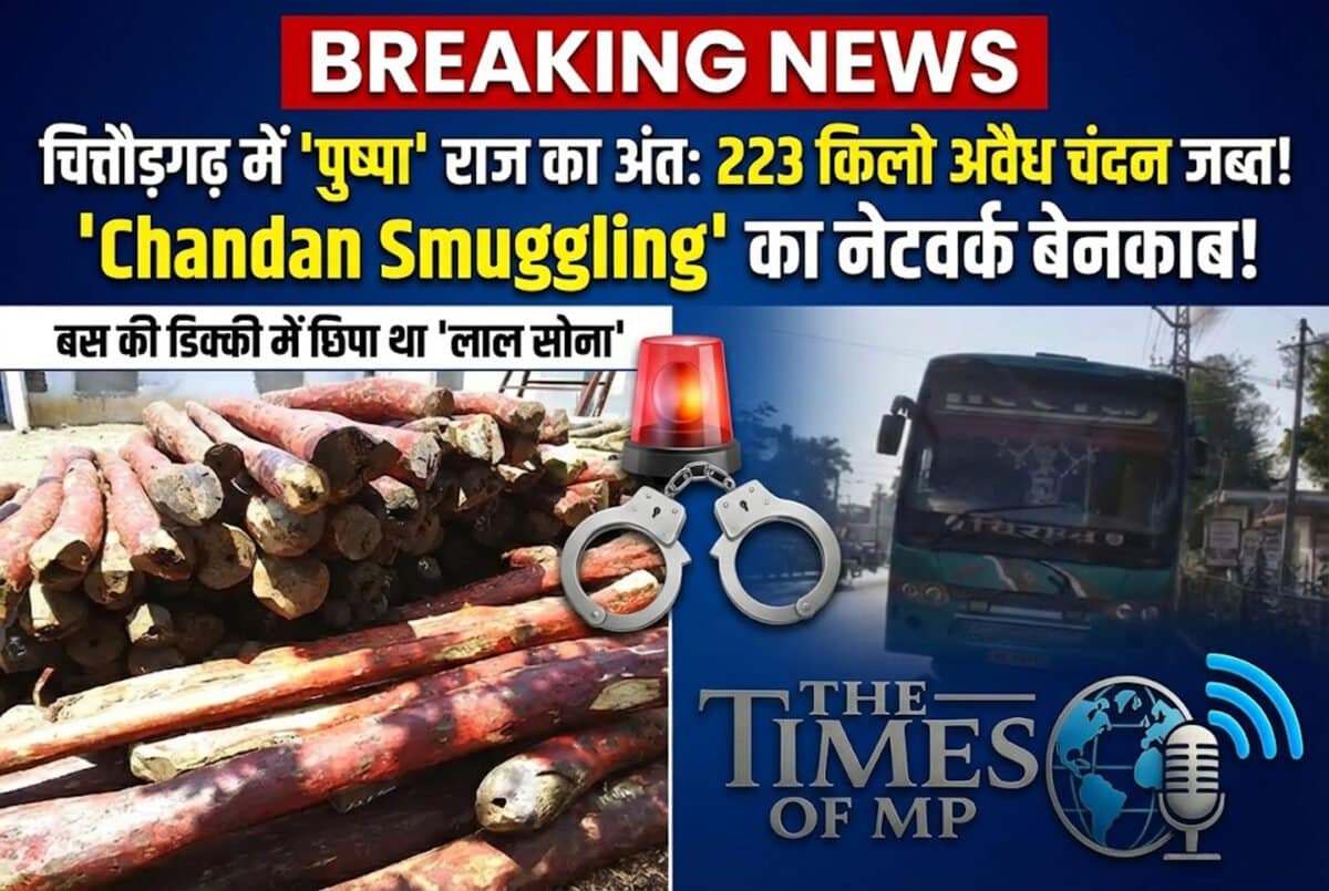 Chandan Smuggling