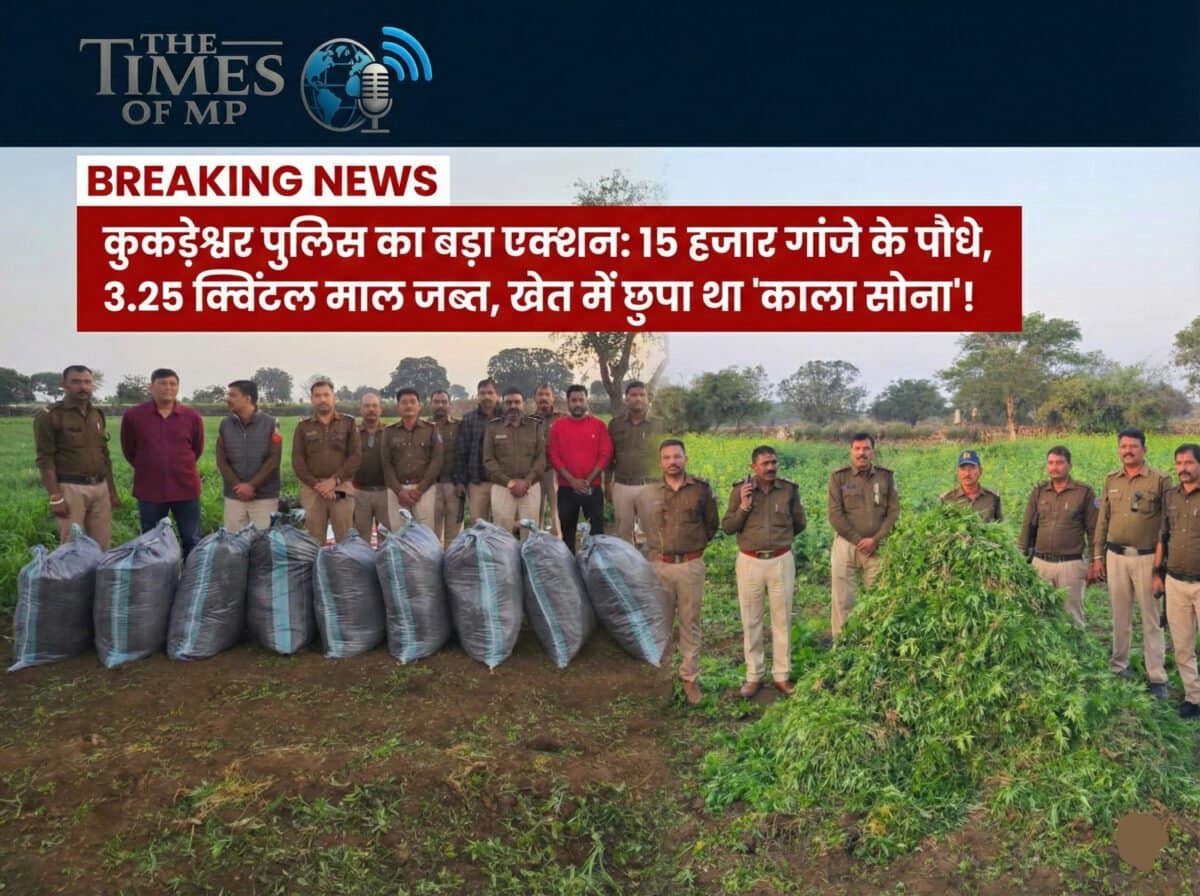 Kukdeshwar Police Ganja Raid