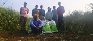 aa933589 6e24 47f9 9847 c58e0eca9b4a