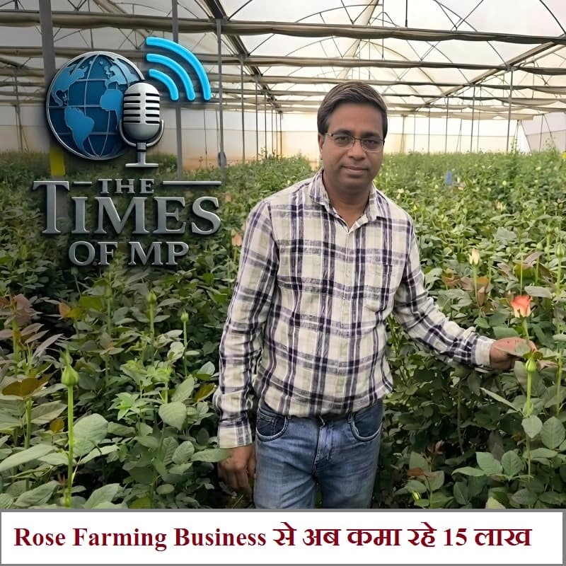 Rose Farming Business