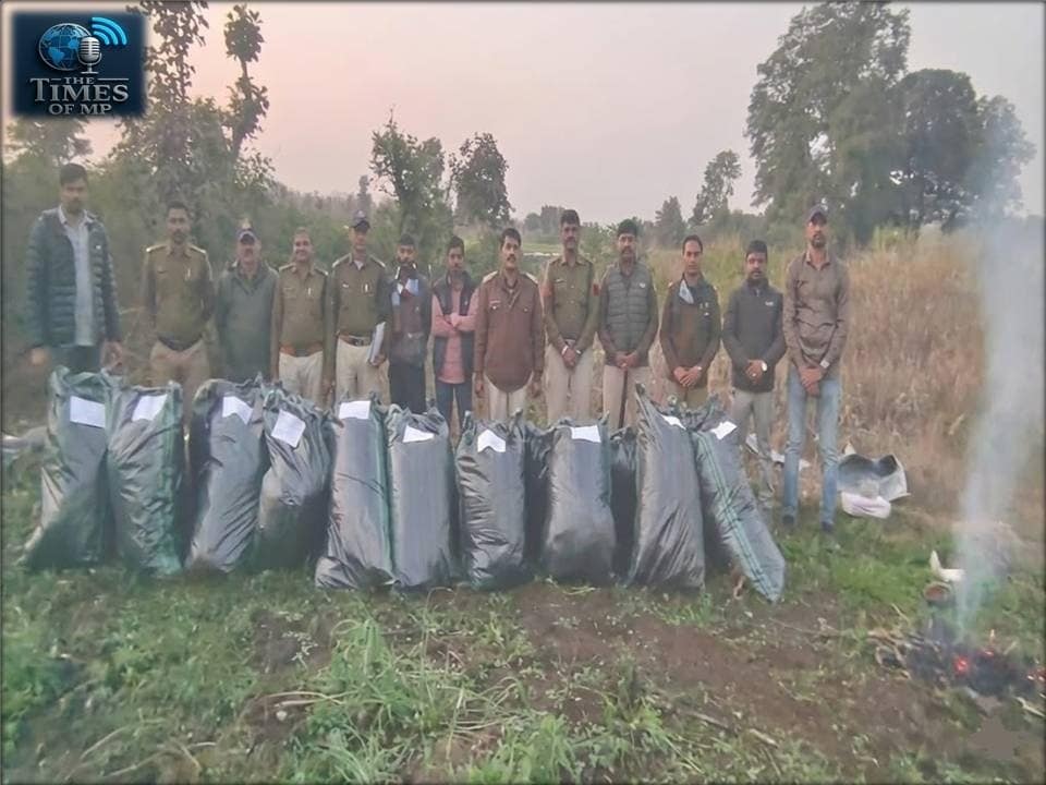 रामपुरा में गांजा खेती