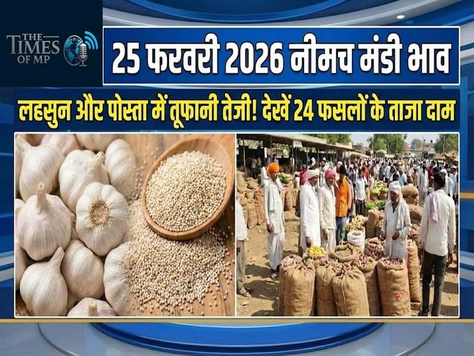 Neemuch Mandi Bhav 25 February 2026