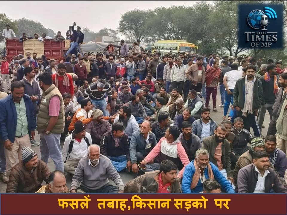 नीमच ओलावृष्टि समाचार